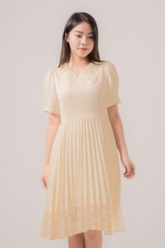 Chaerin Brocade Pleated Dress 521735