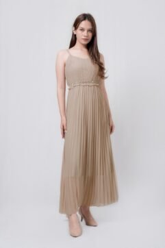 Geraldine Pleated Sheer Dress 184156-1