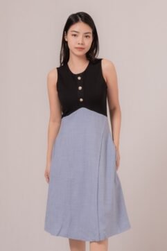 Clarina Two Tone A-Line Dress 887588