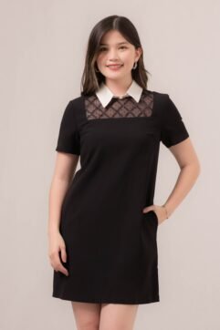 Rianna Lace Collared Dress 85903