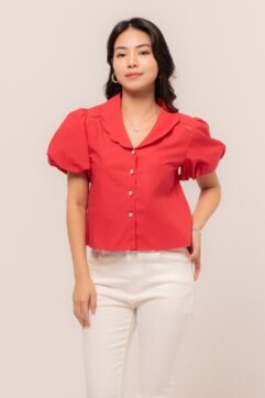 Fidelya Puff Sleeves Top 525384